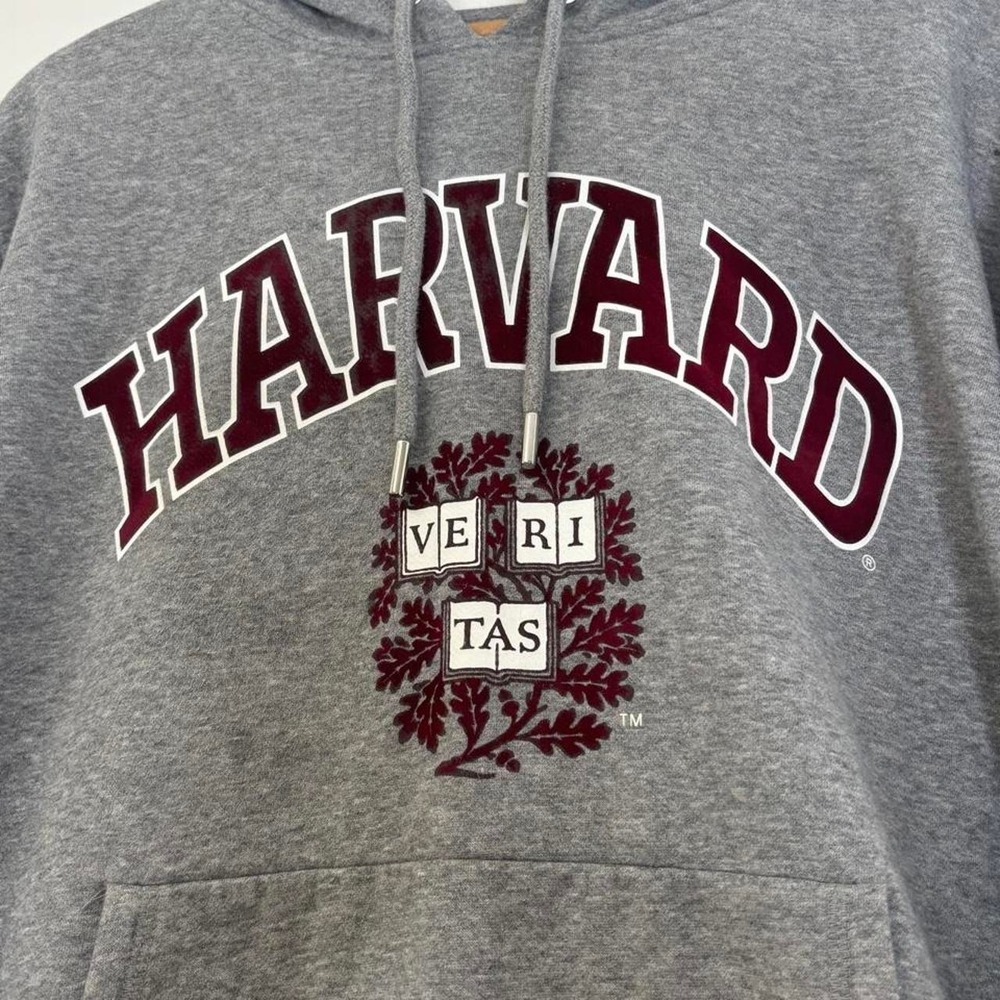 H&M Harvard Hoodie Women's XL Gray Collegiate Varsity Preppy Academia Campus